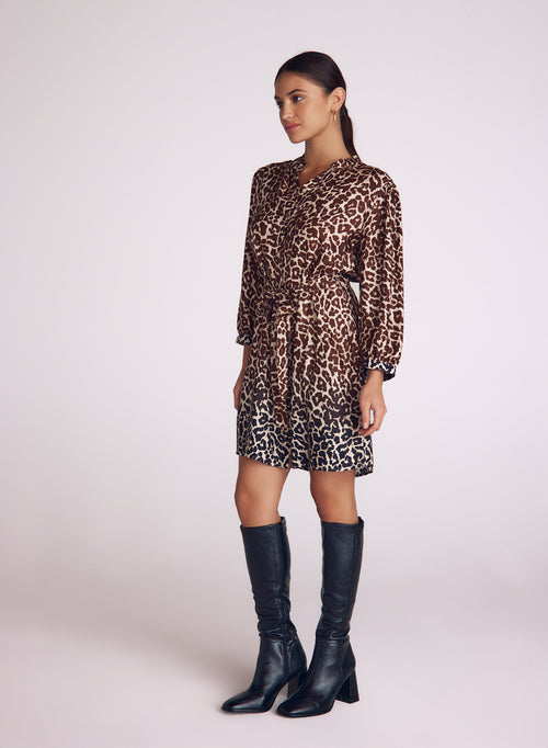 Belted Shirt Dress