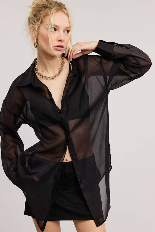 Oversized Sheer Blouse