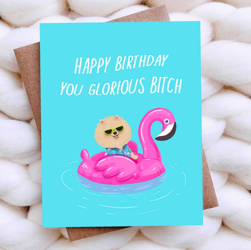 Funny Birthday Card -Sarcastic Card