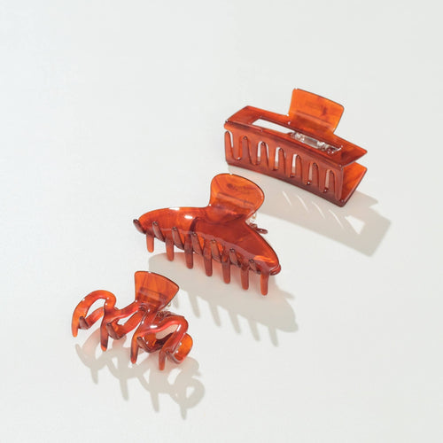 Cinnamon Spice Clips