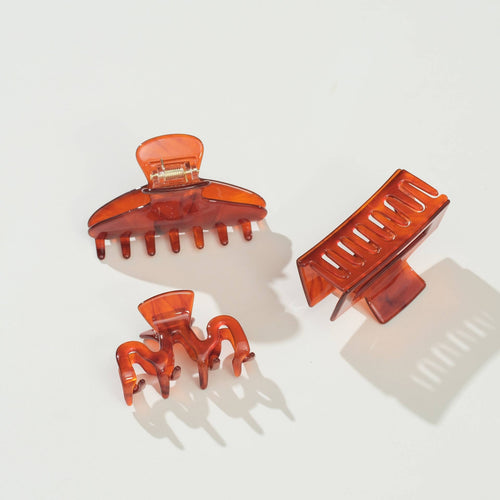 Cinnamon Spice Clips