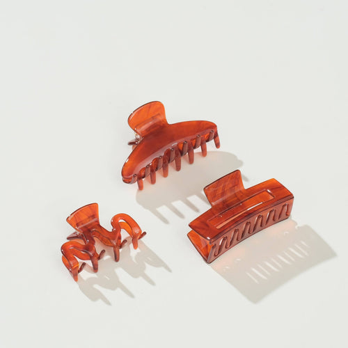 Cinnamon Spice Clips