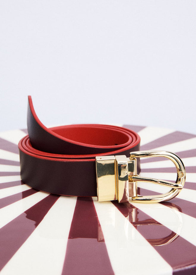Magnet Belt