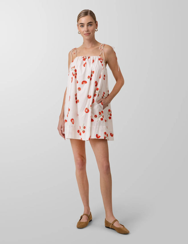 Bellissimo Mini Dress