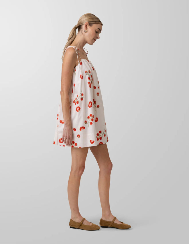 Bellissimo Mini Dress