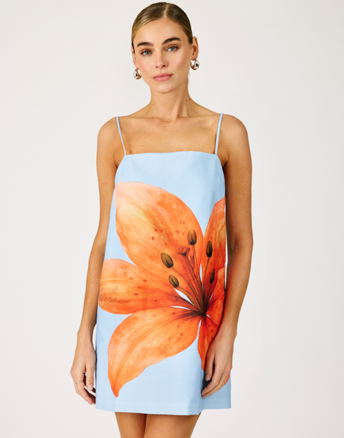 Avah Mini Dress