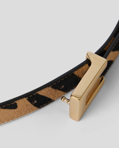 Nate Belt
