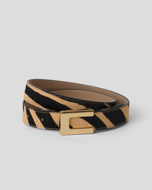 Nate Belt
